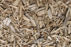 biomass boilers Crows Nest